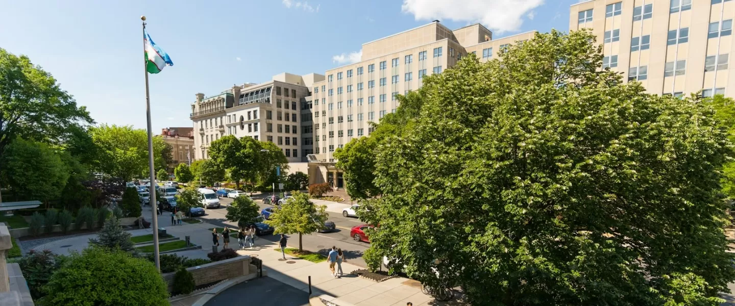 A view of an avenue lined with trees and historic buildings.
